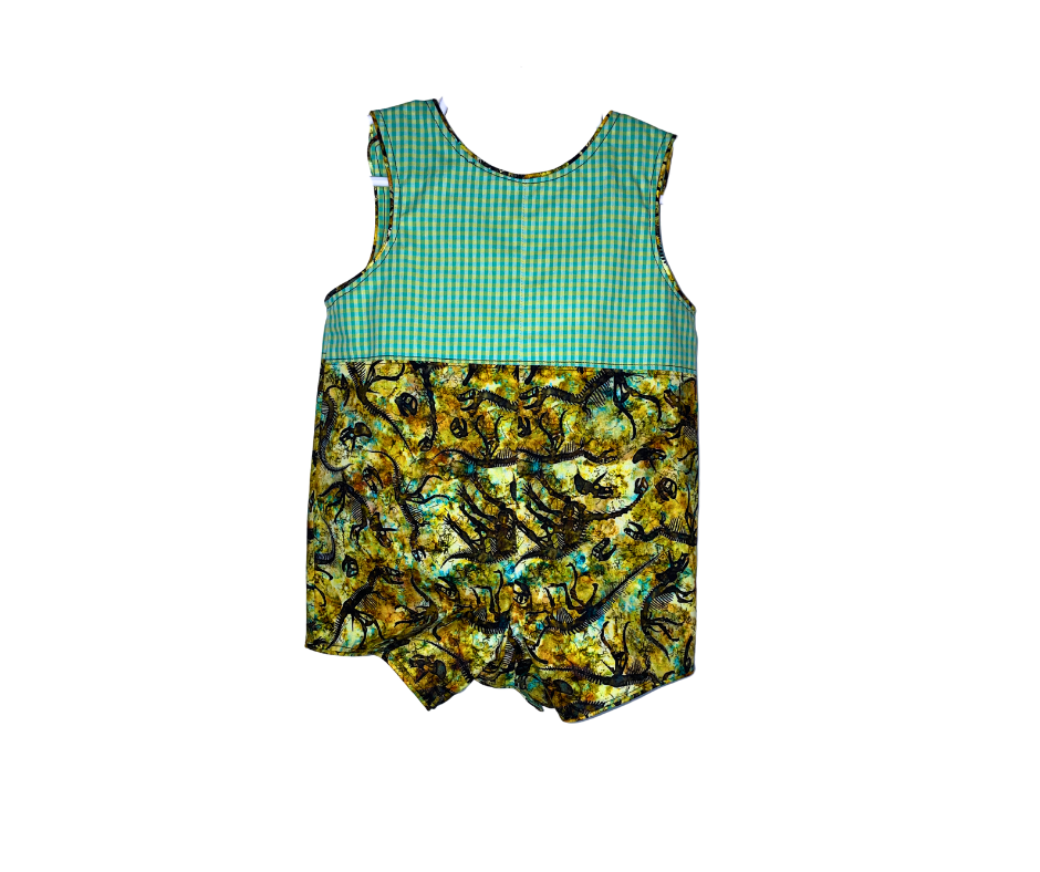 Dino Discovery Reversible Romper